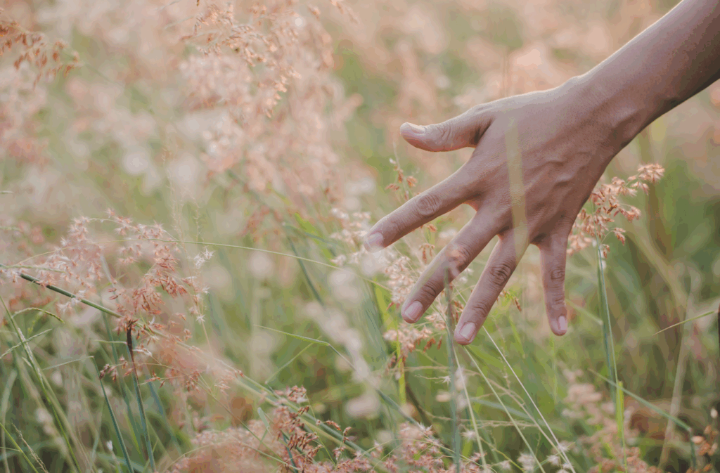 Gestalt e la Teoria della Complessità