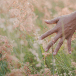 Gestalt e la Teoria della Complessità